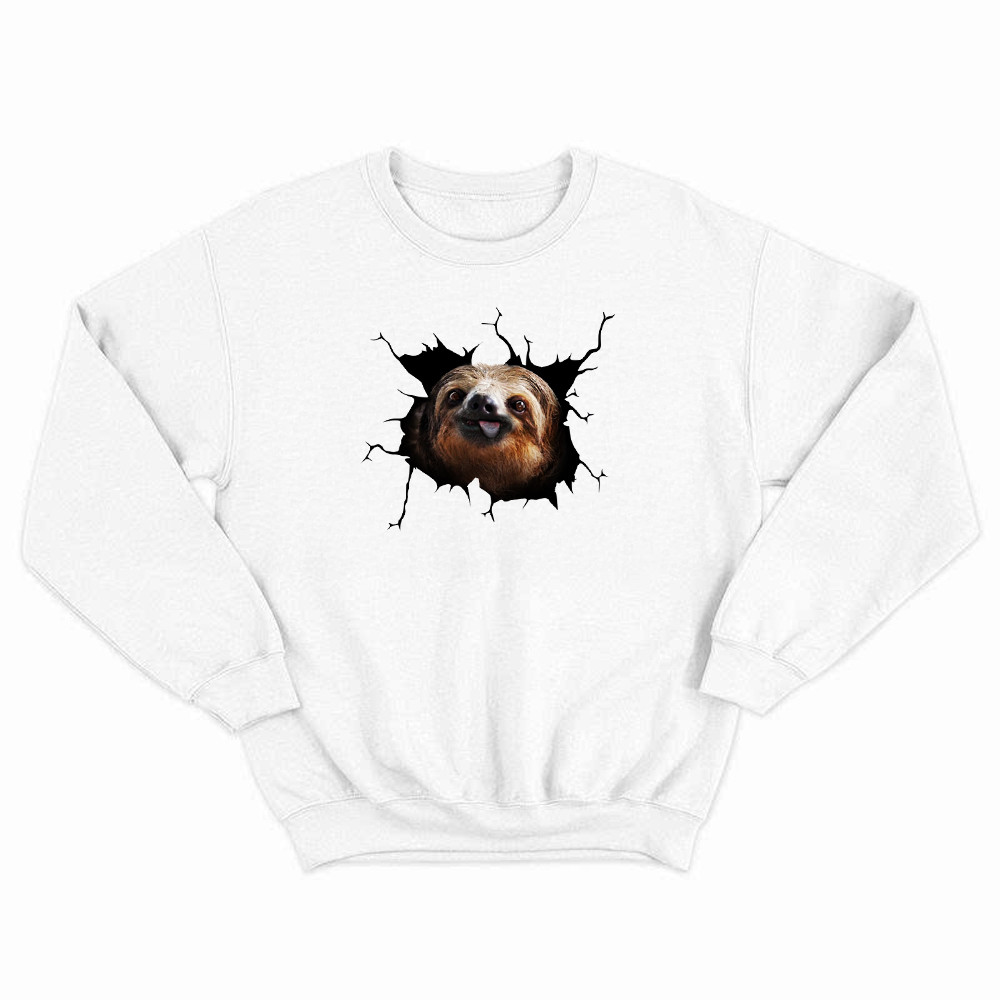 Sloth Came Out Shirt Sloth Sweatshirt Cute Graphic Unisex Gift For Brothers Idea