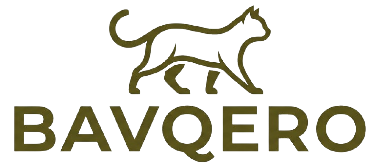 Bavqero